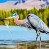 Blue Heron Eating Diamond Painting