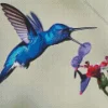 Blue Hummingbird Diamond Painting
