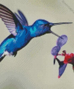 Blue Hummingbird Diamond Painting