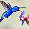 Blue Hummingbird Diamond Painting