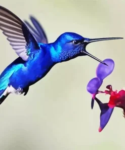 Blue Hummingbird Diamond Painting