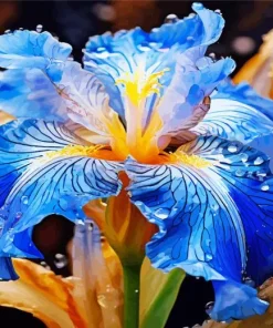 Blue Iris Diamond Painting
