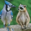 Blue Jay Bird And Raccoon Diamond Painting