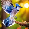 Blue Jay Bird Flying Diamond Painting