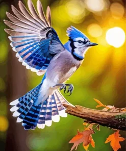 Blue Jay Bird Flying Diamond Painting