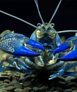 Blue Lobster Diamond Painting