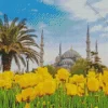 Blue Mosque Diamond Painting