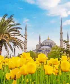 Blue Mosque Diamond Painting