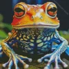 Blue Orange Frog Diamond Painting