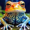 Blue Orange Frog Diamond Painting