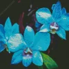 Blue Orchid Diamond Painting