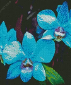 Blue Orchid Diamond Painting
