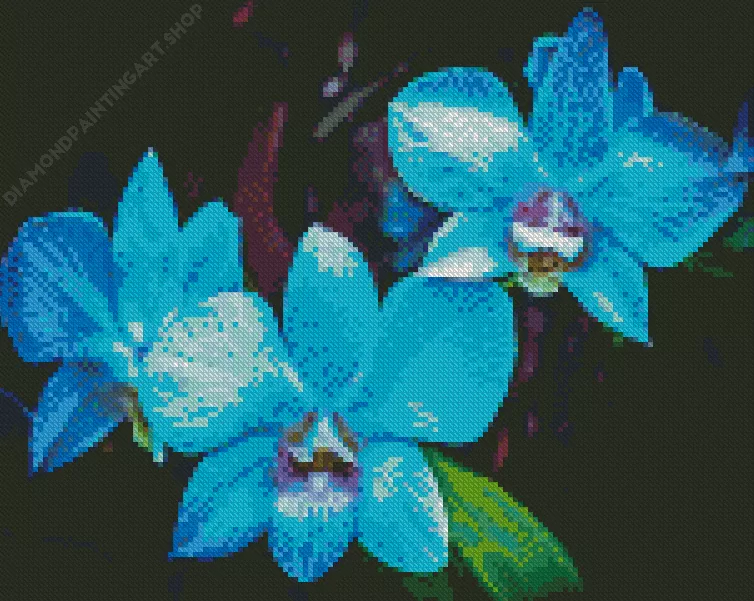 blue orchid Diamond Paintings Blue Orchid Diamond Painting