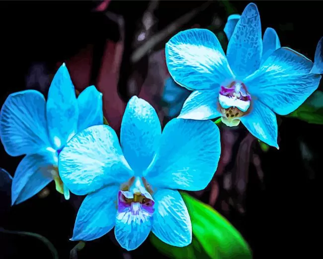 blue orchid Diamond Paints Blue Orchid Diamond Painting
