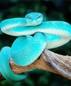 Blue Pit Viper Diamond Painting