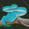 Blue Pit Viper Diamond Painting
