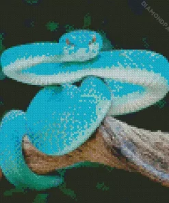 Blue Pit Viper Diamond Painting