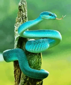 Blue Pit Viper Snake Diamond Painting