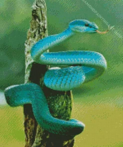 Blue Pit Viper Snake Diamond Painting