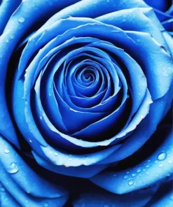 Blue Rose Diamond Painting
