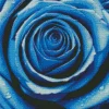 Blue Rose Diamond Painting