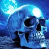 Blue Skull Head Diamond Painting