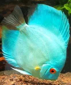 Blue Tropical Fish Diamond Painting