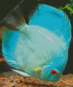 Blue Tropical Fish Diamond Painting