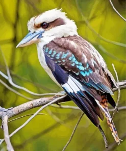 Blue Winged Kookaburra Diamond Painting