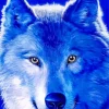 Blue Wolf Face Diamond Painting