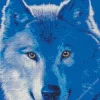 Blue Wolf Face Diamond Painting