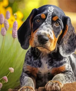 Bluetick Coonhound Puppy Diamond Painting