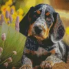 Bluetick Coonhound Puppy Diamond Painting