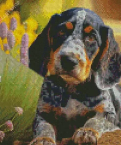Bluetick Coonhound Puppy Diamond Painting