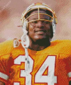 Bo Jackson Player Diamond Painting