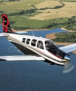 Bonanza Flying Diamond Painting