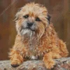 Border Terrier Dog Diamond Painting