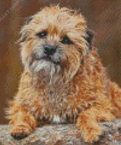 Border Terrier Dog Diamond Painting