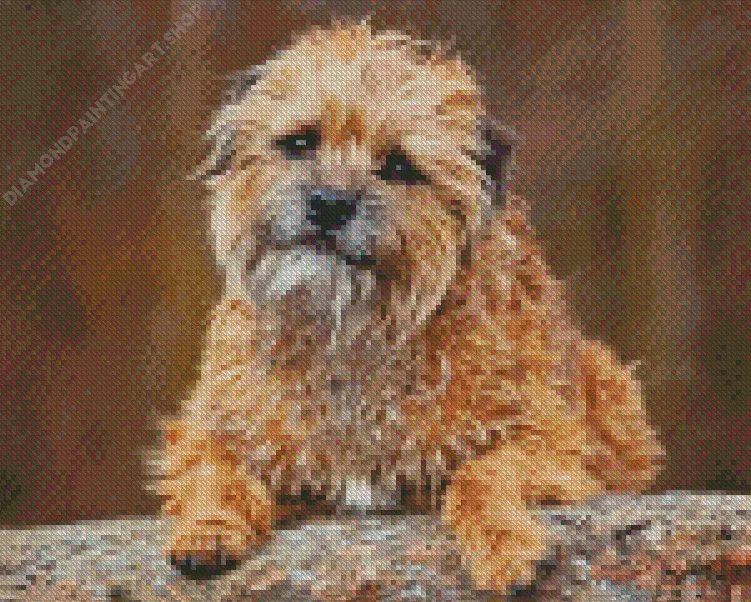 border terrier dog Diamond By Numbers Border Terrier Dog Diamond Painting