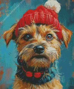 Border Terrier In A Bobble Hat Diamond Painting