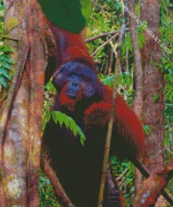 Bornean Orangutan Diamond Painting