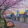 Boston Park Cherry Blossom Diamond Painting