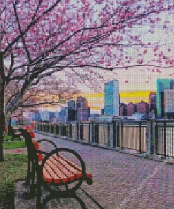 Boston Park Cherry Blossom Diamond Painting