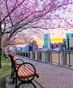 Boston Park Cherry Blossom Diamond Painting