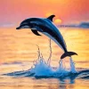 Bottlenose Dolphin Sunset Silhouette Diamond Painting
