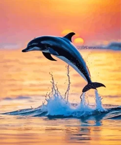Bottlenose Dolphin Sunset Silhouette Diamond Painting