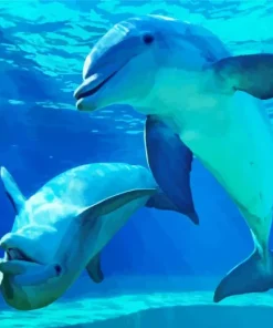 Bottlenose Dolphins Couple Diamond Painting