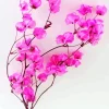 Bougainvillea Branch Diamond Painting