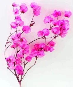 Bougainvillea Branch Diamond Painting