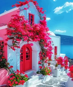 Bougainvillea Front Door Diamond Painting